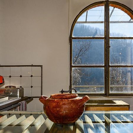 La Limonaia Di Casagrande Villa Barga Ngoại thất bức ảnh