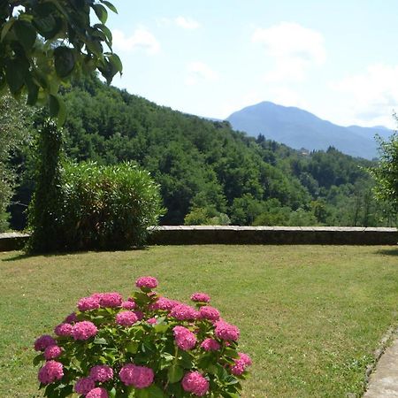 La Limonaia Di Casagrande Villa Barga Ngoại thất bức ảnh