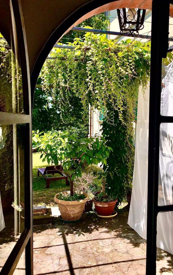La Limonaia Di Casagrande Villa Barga Ngoại thất bức ảnh