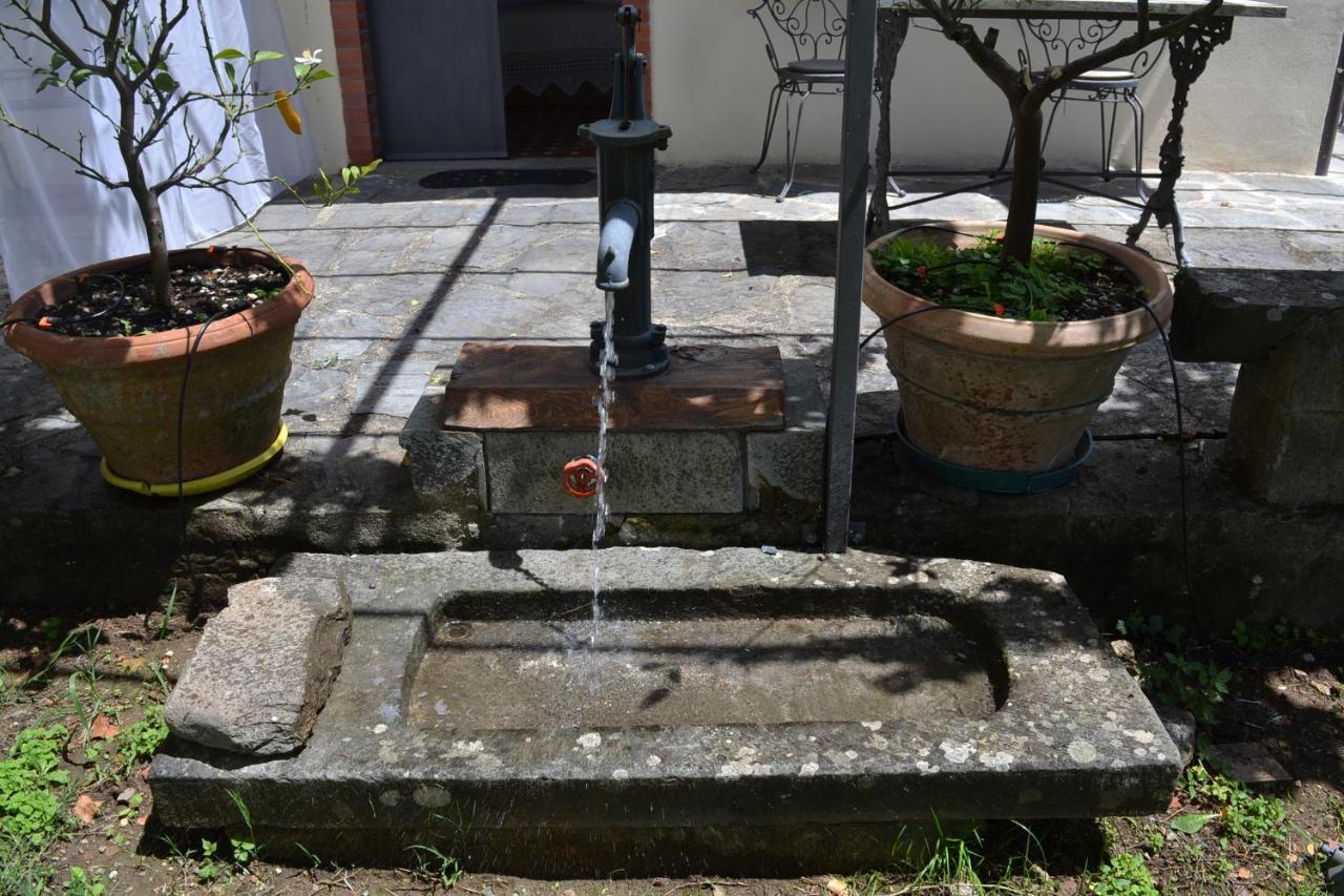 La Limonaia Di Casagrande Villa Barga Ngoại thất bức ảnh