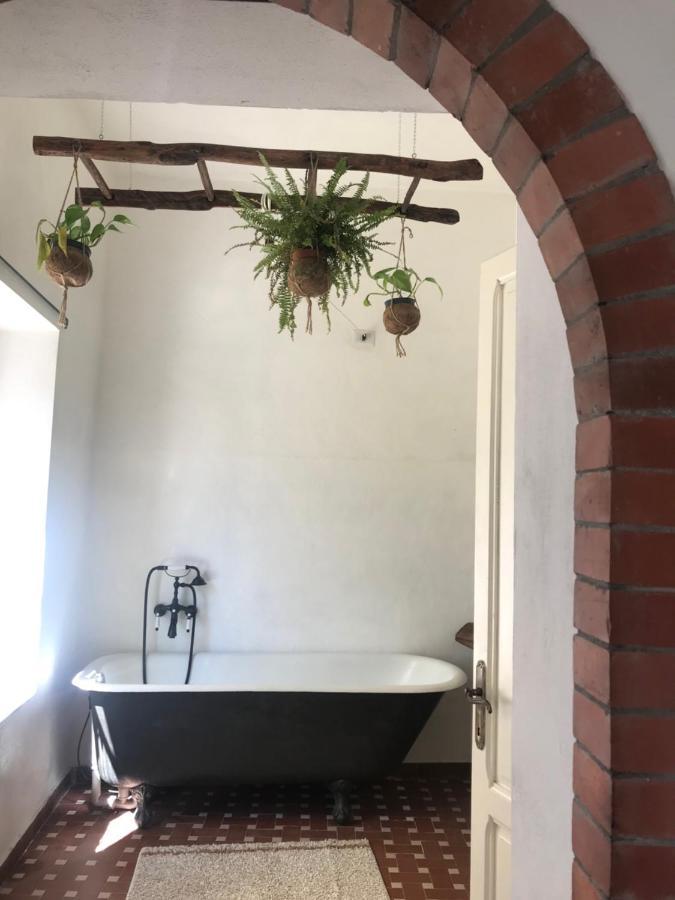 La Limonaia Di Casagrande Villa Barga Ngoại thất bức ảnh