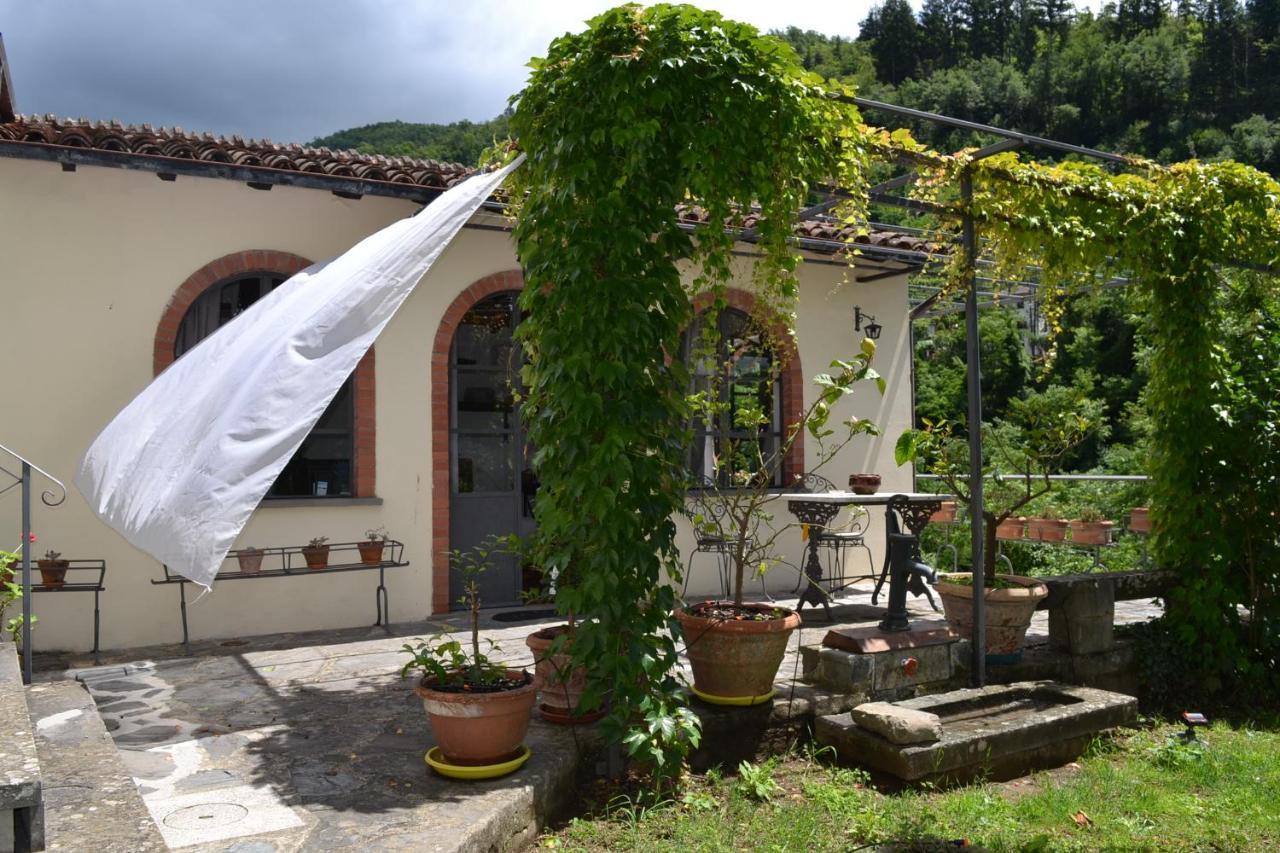 La Limonaia Di Casagrande Villa Barga Ngoại thất bức ảnh