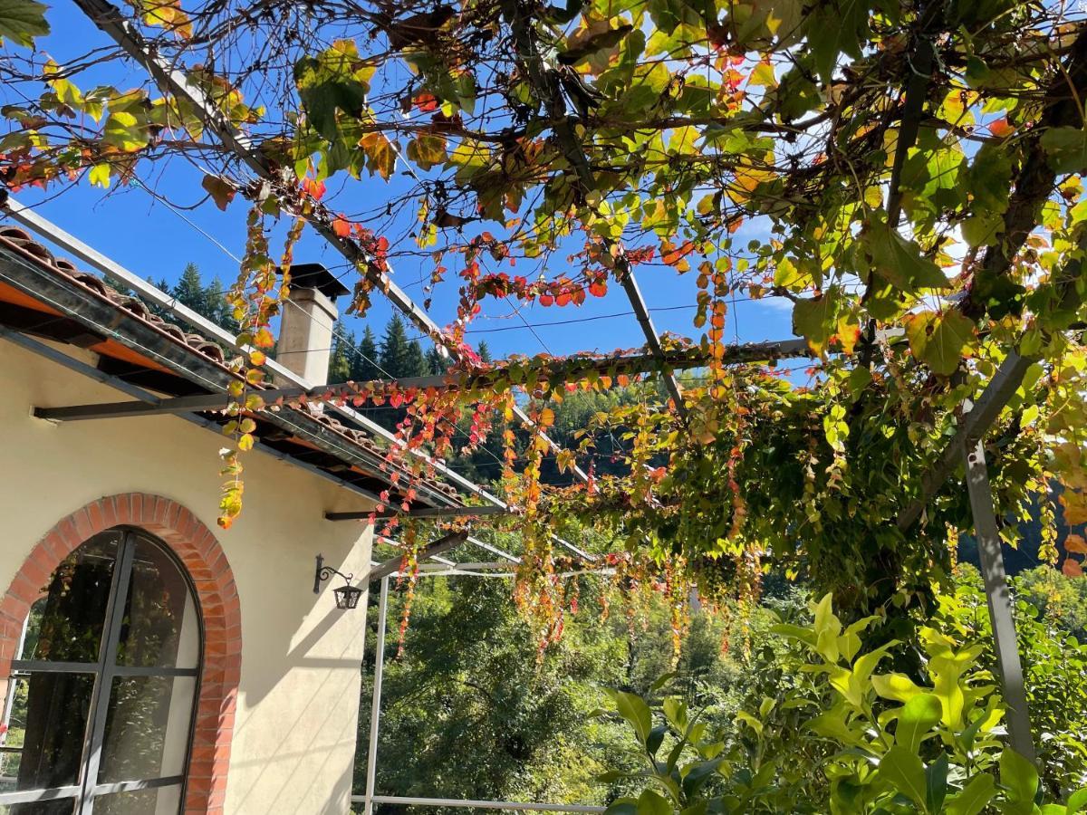 La Limonaia Di Casagrande Villa Barga Ngoại thất bức ảnh