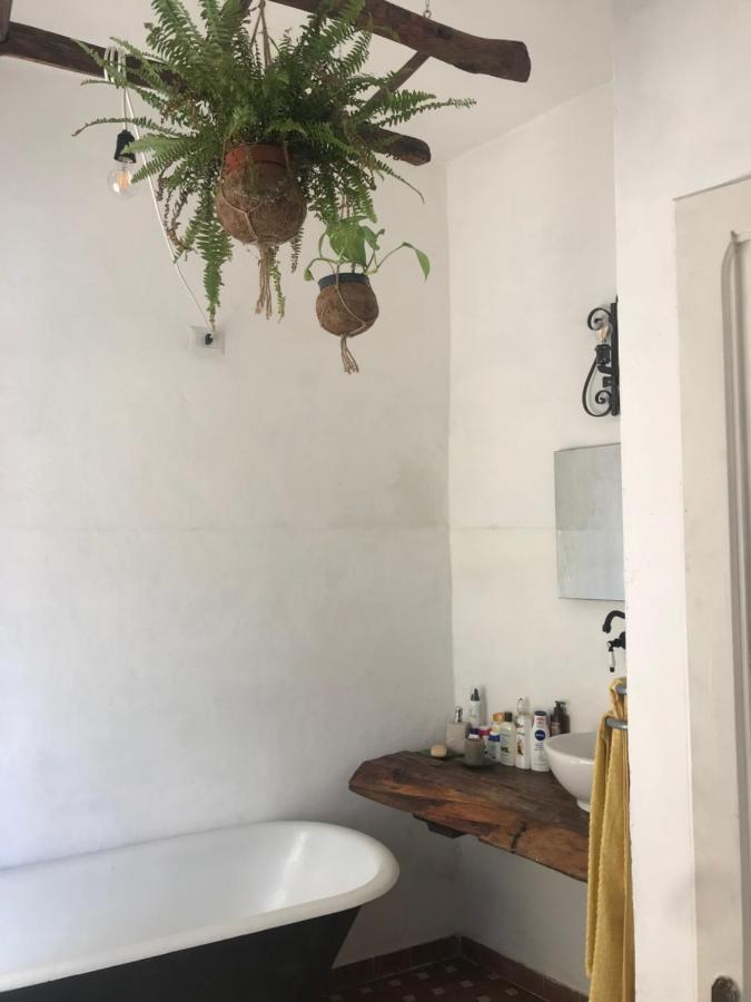 La Limonaia Di Casagrande Villa Barga Ngoại thất bức ảnh