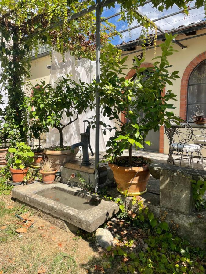 La Limonaia Di Casagrande Villa Barga Ngoại thất bức ảnh