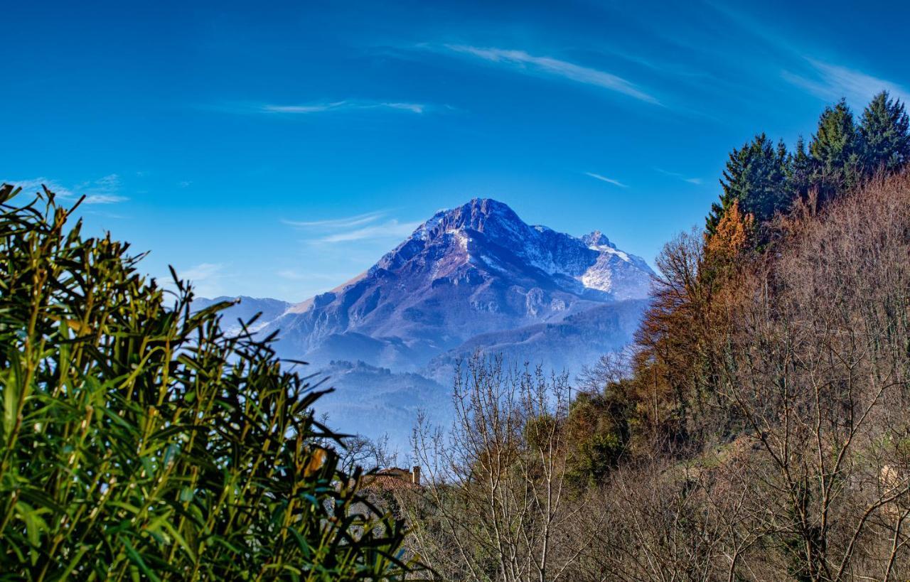 La Limonaia Di Casagrande Villa Barga Ngoại thất bức ảnh