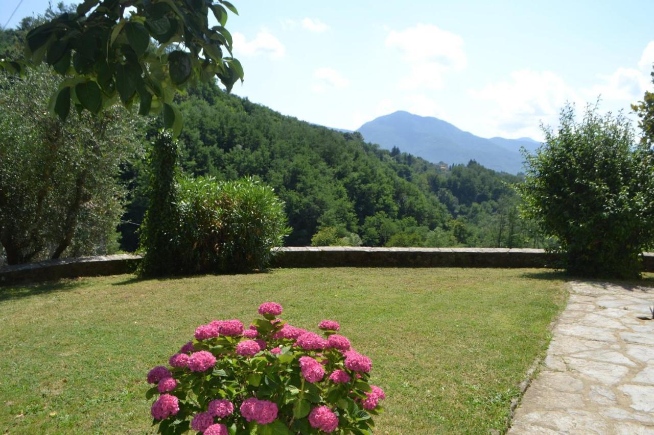 La Limonaia Di Casagrande Villa Barga Ngoại thất bức ảnh